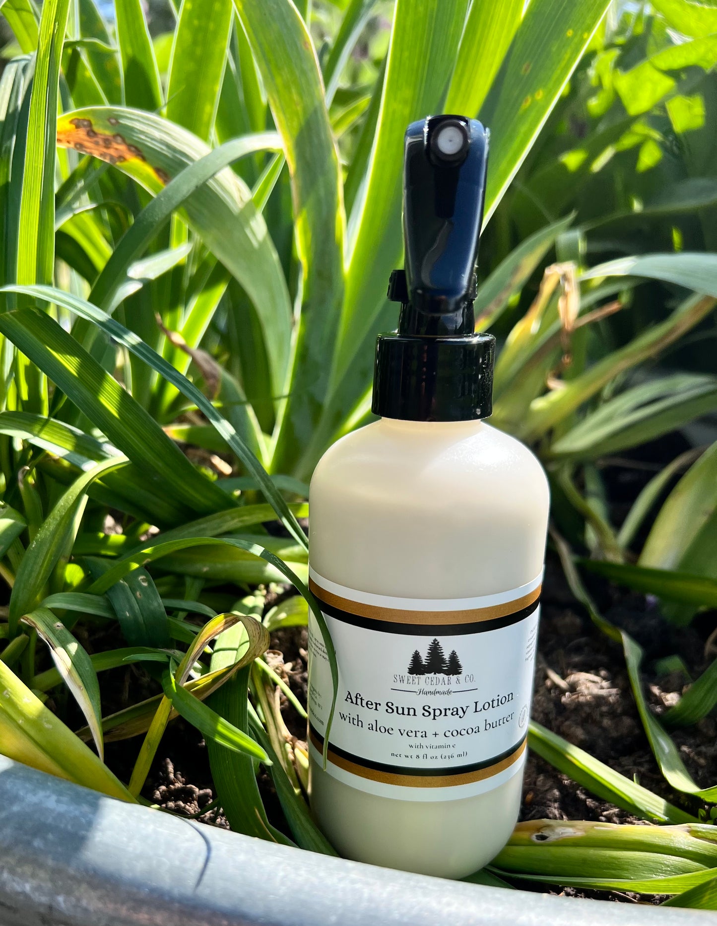 after-shower spray lotion