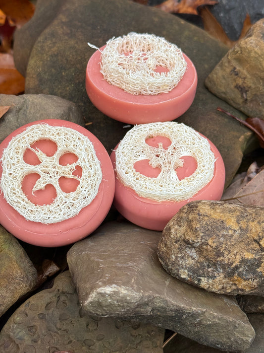 Spiced Cranberry Loofah Soap
